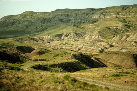 Tbilisi: David Gareji Monastery Tour