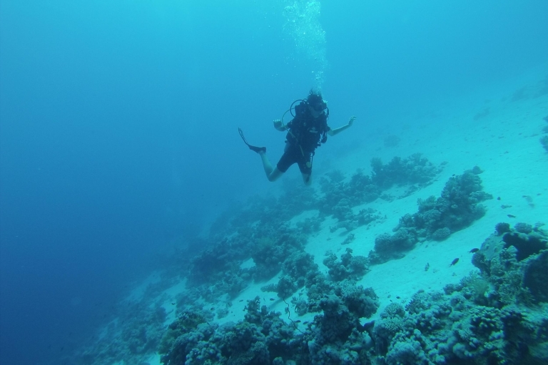 Von Sharm oder Dahab: Blue Hole & Canyon Sea Dive ExperienceAbholung von Dahab