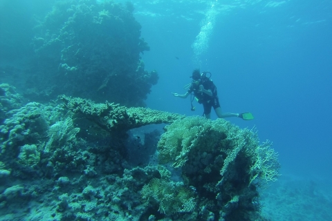 Van Sharm of Dahab: Blue Hole & Canyon Sea Dive ExperienceOphalen bij Dahab