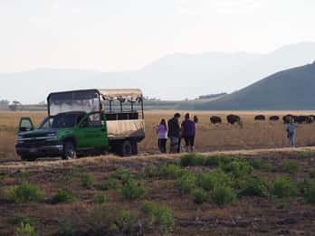 Grand-Teton-Nationalpark: Wildtier-Safari-Abenteuer Grand-Teton-Nationalpark: Wildtier-Safari-Abenteuer