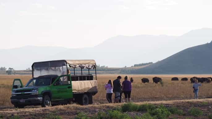 parque nacional de grand teton safari de animales salvajes