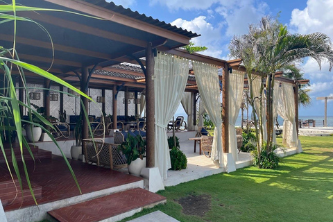 Le paradis des chiots du monde entier — Un bonheur balinais qui a du sensDécouvrez le paradis mondial des chiots à Thalassa Seseh