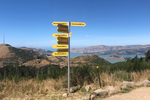 Malownicza przejażdżka wyciągiem krzesełkowym w Christchurch Adventure ParkMalownicza przejażdżka kolejką linową w Christchurch Adventure Park