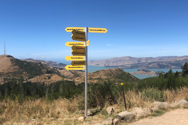 Malownicza przejażdżka wyciągiem krzesełkowym w Christchurch Adventure ParkMalownicza przejażdżka kolejką linową w Christchurch Adventure Park