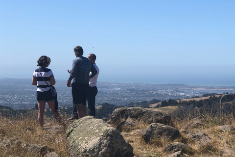 Malownicza przejażdżka wyciągiem krzesełkowym w Christchurch Adventure ParkMalownicza przejażdżka kolejką linową w Christchurch Adventure Park