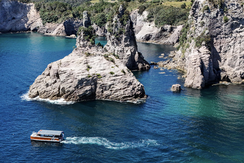 Excursión por la costa y las cuevas de Cathedral Cove