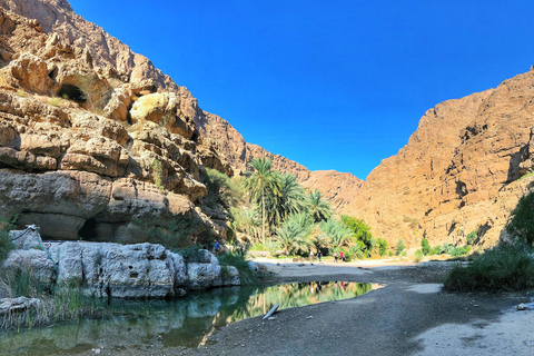 Mascate: visite privée d'une journée de Wadi Shab et Bimmah Sinkhole