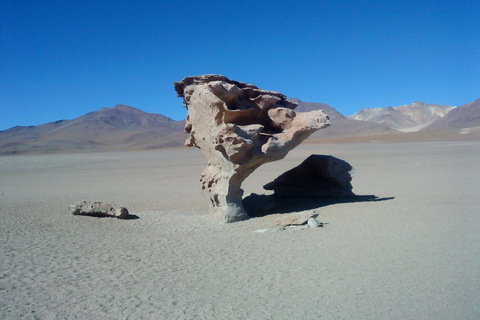 La Paz: Buss till Atacama Chile med avslutning i Uyuni.