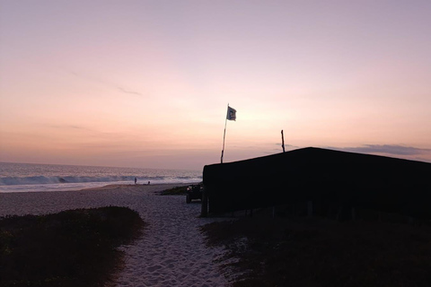 Desde Huatulco: Excursión Ecológica Cocodrilos y TortugasServicio Privado en Vehículo Avanza