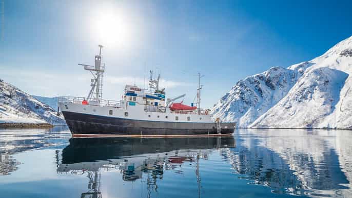tromsø croisière dans le fjord et expérience de dégustation
