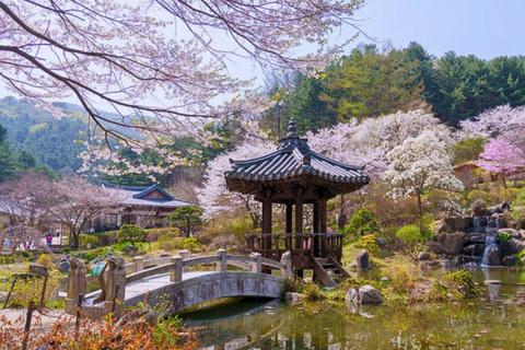 A partir de Seul: Begonia Bird Park, Rail Bike e Garden TourDongdaemun, 9h