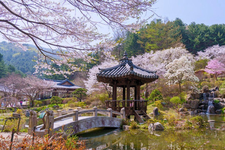 A partir de Seul: Begonia Bird Park, Rail Bike e Garden TourDongdaemun, 9h