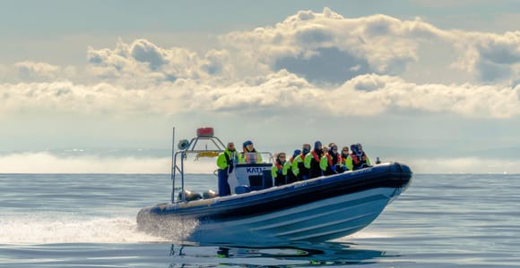 Reykjavík: RIB Speed-Boat Puffin Watching Tour
