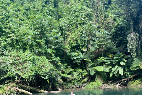 San Juan/Carolina: viaje al bosque nacional El Yunque con caminata