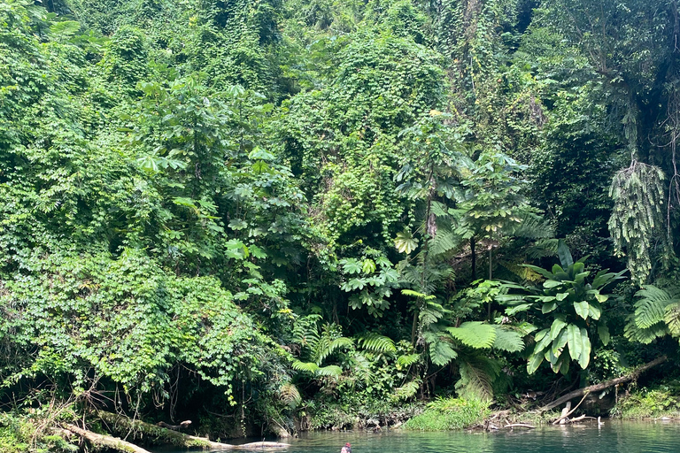 San Juan / Caroline: excursion dans la forêt nationale d'El Yunque avec randonnée