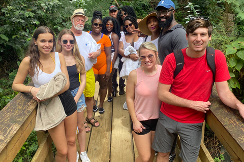 San Juan / Caroline: excursion dans la forêt nationale d'El Yunque avec randonnée