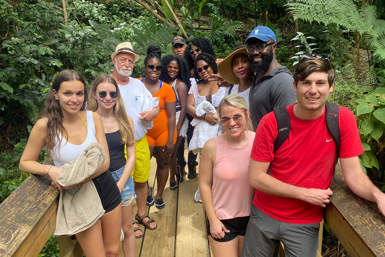 San Juan / Caroline: excursion dans la forêt nationale d'El Yunque avec randonnée