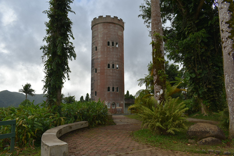 El Yunque National RainForest: Tur med naturvandring