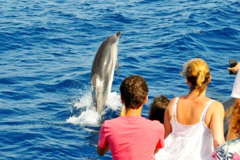 Da Mascate: tour di osservazione dei delfini