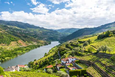 Porto: Excursão pelo Vale do Douro c/ Vinhos, Barco e Almoço