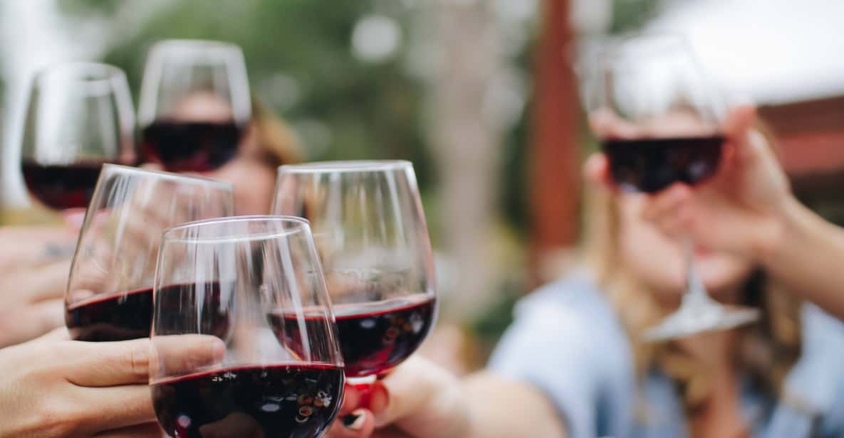 Porto: Douro Valley Tour with Wine Tasting, Cruise and Lunch