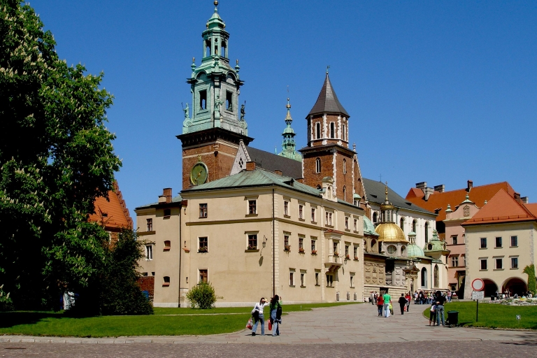 Cracovia: castillo de Wawel, catedral, mina de sal y almuerzo