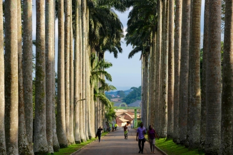 Accra : jardins botaniques d'Aburi, fermes de cacao, excursion aux cascadesAccra : jardins botaniques d'Aburi, fermes de cacao, journée des cascades