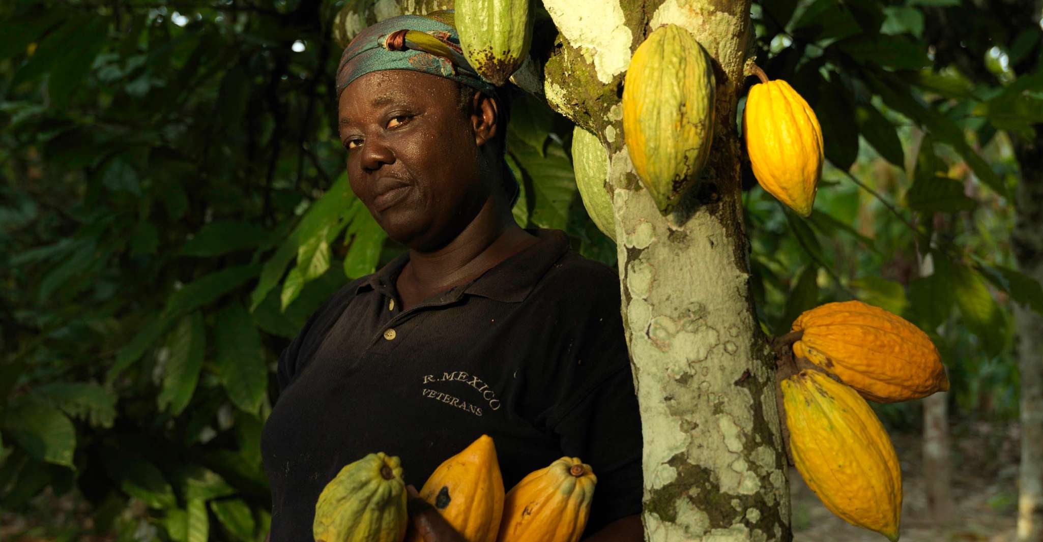 Accra, Jardines Botánicos de Aburi, Granjas de Cacao, Cascadas - Hizvo