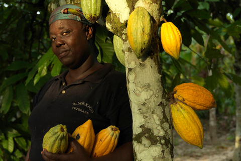 Accra : jardins botaniques d'Aburi, fermes de cacao, excursion aux cascadesAccra : jardins botaniques d'Aburi, fermes de cacao, journée des cascades