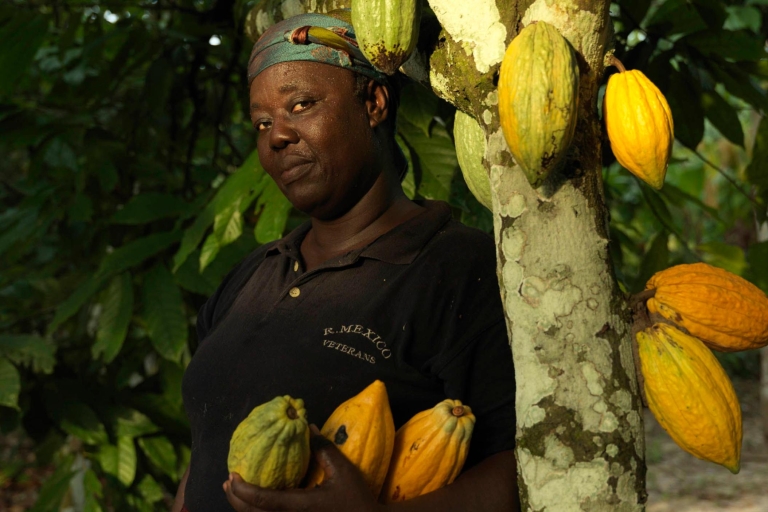 Accra : jardins botaniques d'Aburi, fermes de cacao, excursion aux cascadesAccra : jardins botaniques d'Aburi, fermes de cacao, journée des cascades