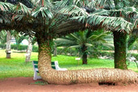 Accra, Aburi Botanische Gärten, Kakao-Farms, Wasserfälle Reise - Hizvo