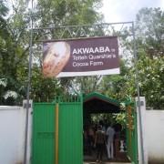 Accra: Aburi Botanical Gardens, Cocoa Farms, Waterfalls Trip