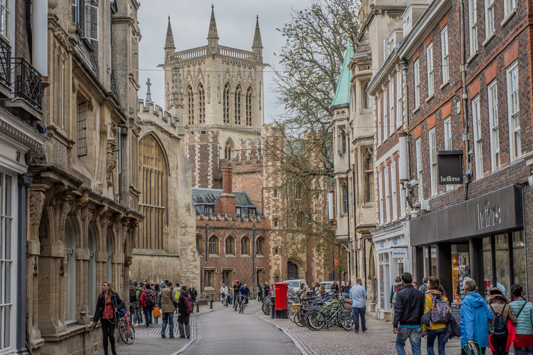 Cambridge: wandeltocht door de universiteit en cruise op puntingPrivé punteren & wandeltocht