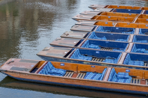 Cambridge: visite à pied de l'université et croisière en barqueBalade en barque et visite à pied partagées