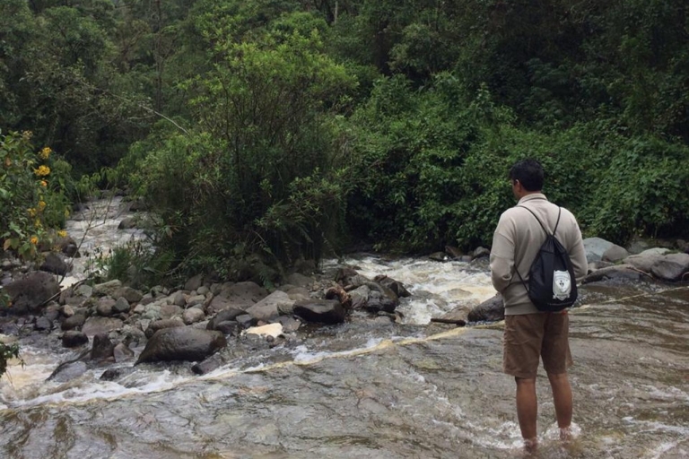 Medellin: Rio Claro Abenteuer Tour