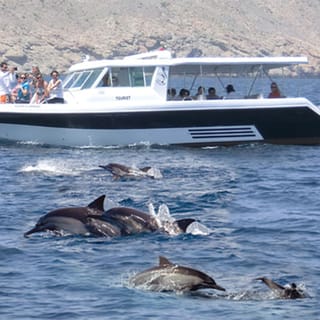 Muscat: Full Day Boat Trip, Dolphin Watching, & Snorkeling