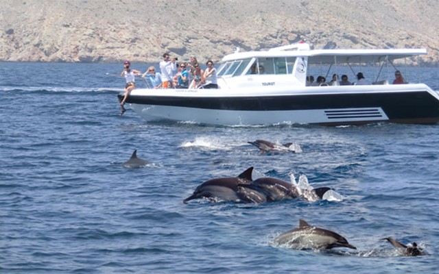 Muscat: boottocht van een hele dag, dolfijnen kijken en snorkelen