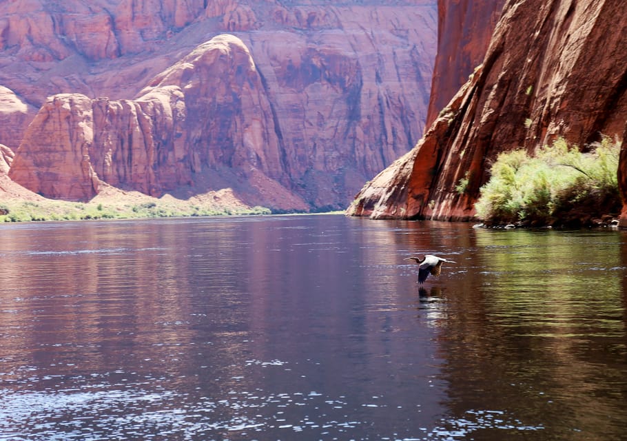 Grand Canyon: Glen Canyon og Horseshoe Bend Raft Trip | GetYourGuide