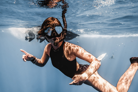 Oahu: Cage-Free Shark Diving Adventure Oahu: Cage-Free Shark Diving Adventure with Photos