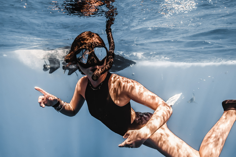 Oahu: Cage-Free Shark Diving Adventure Oahu: Cage-Free Shark Diving Adventure with Photos