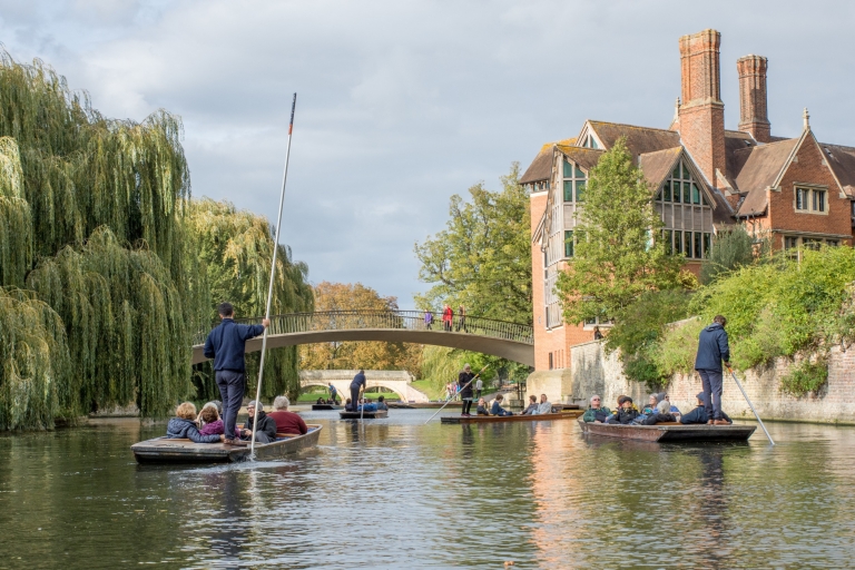Cambridge: wandeltocht door de universiteit en cruise op puntingGedeelde punting- en wandeltocht