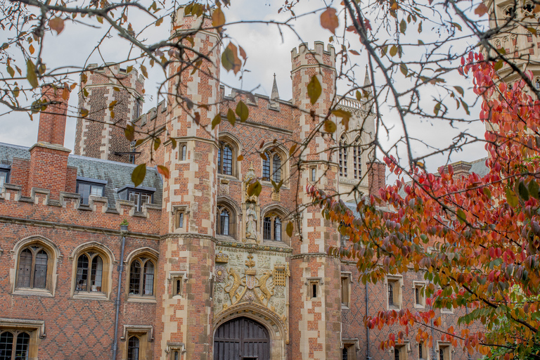 Cambridge: visite à pied de l'université et croisière en barqueBalade en barque et visite à pied partagées