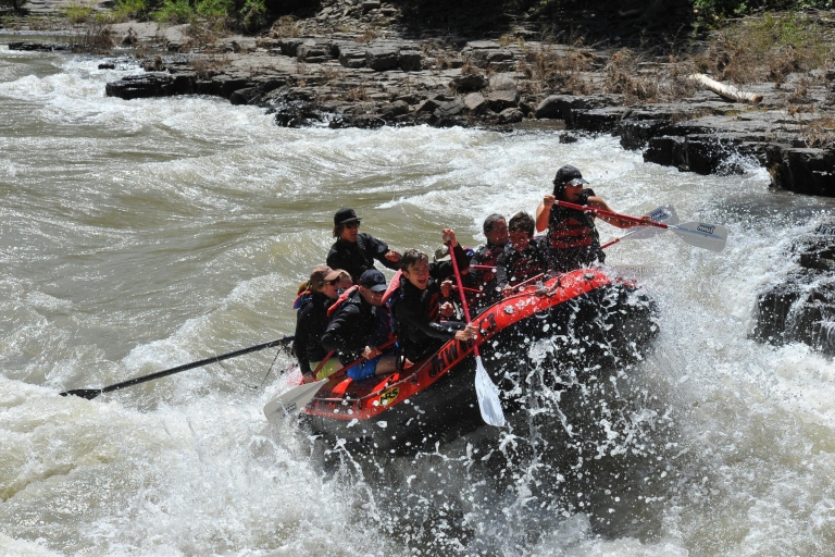 Jackson: aventura de rafting en aguas bravas de clase 2-3 en el río SnakeBarco Clásico