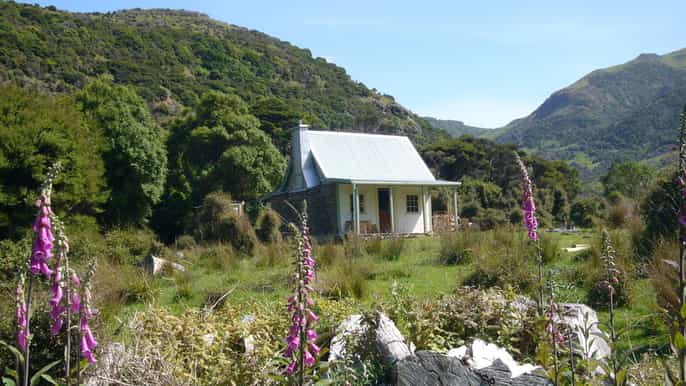 akaroa 24uurs pohatu penguinarrangement s nachts