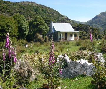 Akaroa: Pacote de 24 horas com pernoite em Pohatu Penguin