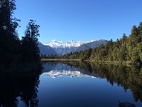 Franz Josef, visite de la nature d'une demi-journée au lac Matheson - Housity