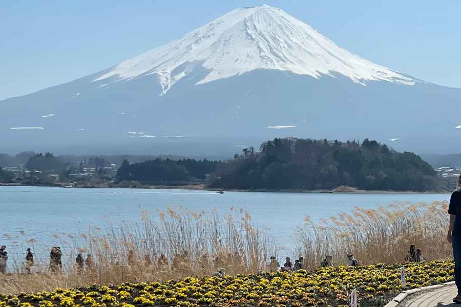 Tokio: Private Mount Fuji Tour mit Abholung und Rücktransfer. Foto: GetYourGuide