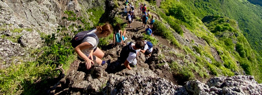 Île Maurice : Écorandonnée sur le Morne Brabant, site classé au patrimoine mondial de l'UNESCO