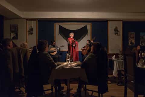 3-Hour Porto by Night Tour with Fado Show & Dinner
