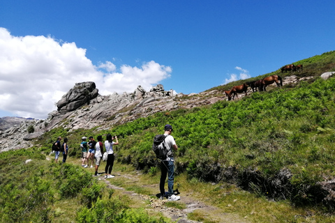 Do Porto: Caminhar, nadar ou simplesmente explorar o Parque Nacional do GerêsCaminha e nada no Parque Nacional do Gerês.